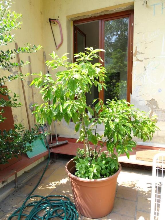 Garden Apartment On Art Nouveau Street In Central Πράγα Εξωτερικό φωτογραφία